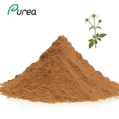 Poudre d'extrait de Bidens Pilosa